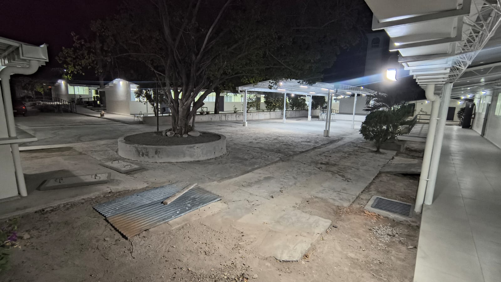 Patio central con árbol protegido · noche